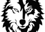 create custom vector tshirt designs and illustrations